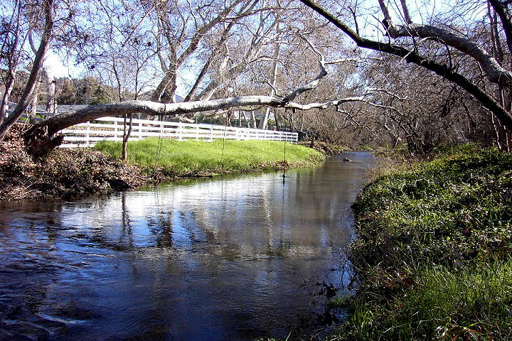 Los_Alamitos_Graystone_creek_pict.jpg